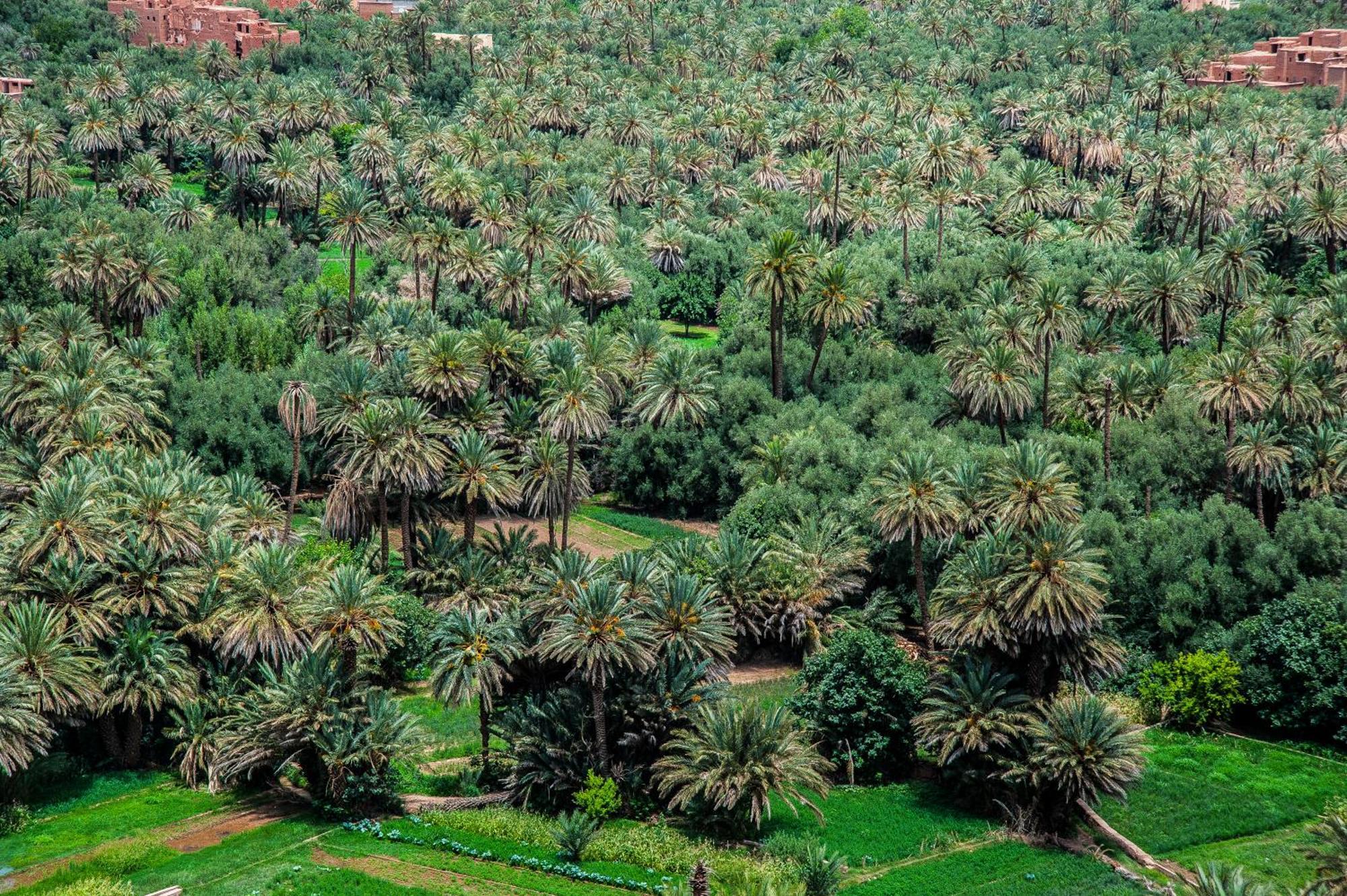 Dar Tiwira Hotel Ait Baha Luaran gambar